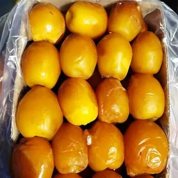 تصویر 4 از خرید و قیمت خرما هلیله ای بم + فروش عمده